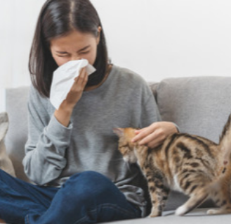 Ein Bild von einer niesenden Frau. Neben Ihr sitzt eine Katze.